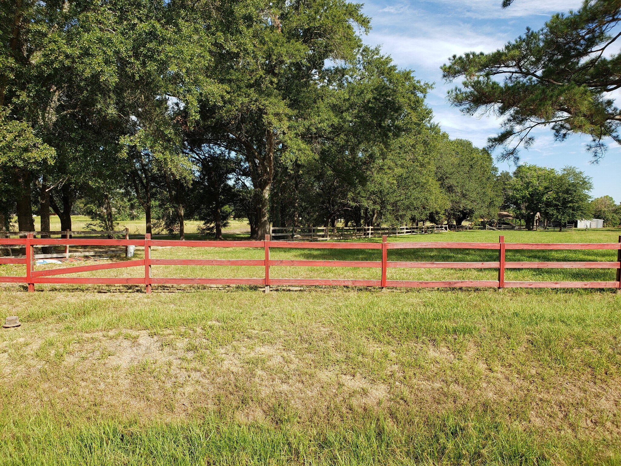 Picture of Spring Cypress Road